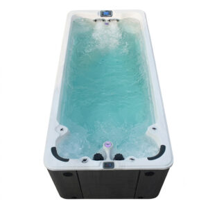 Bồn tắm massage bể bơi SW Dauer SW-6000T