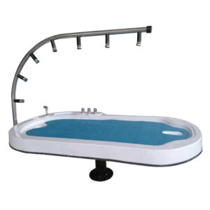 Giường tắm nằm massage SW Dauer SW-1212