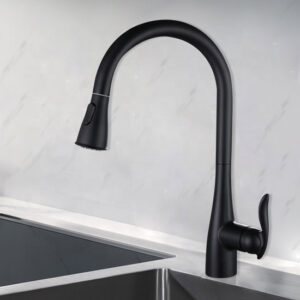 Vòi rửa bát SW Dauer SW7615Q