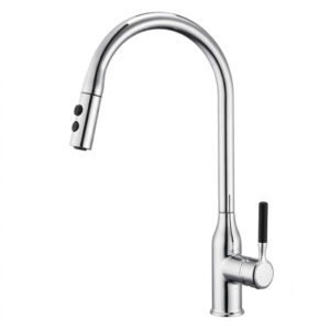 Vòi rửa bát SW Dauer SW7601 nóng lạnh dây rút