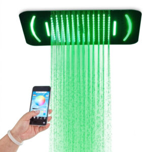Sen tắm âm trần SW Dauer SW1038