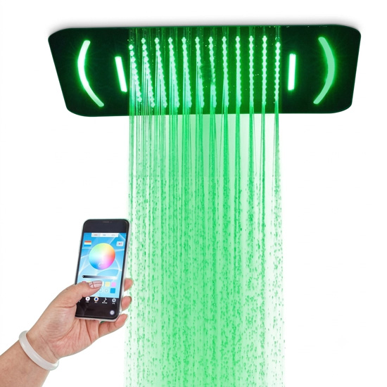 Sen tắm âm trần SW Dauer SW1038